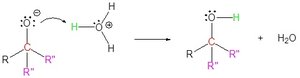 Protonation step after Grignard addition