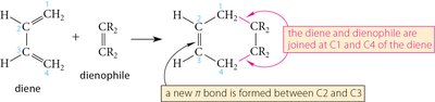 Cyclic diene forming bicyclic product