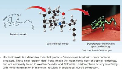 Histrionicotoxin and Dendrobates histrionicus