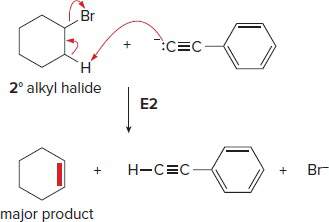 E2 product formation