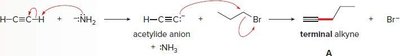 Formation of terminal alkyne via SN2