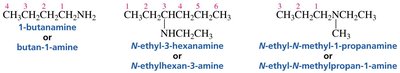 Amine nomenclature