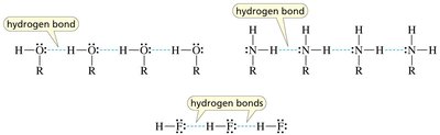 Hydrogen bonding examples