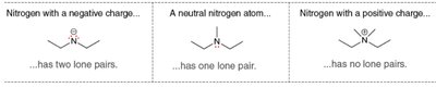 Nitrogen lone pairs in different charge states