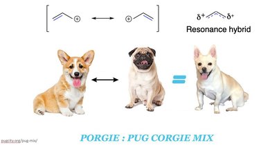 Resonance structures and resonance hybrid analogy