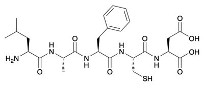 Peptide bond formation using DCC mechanism