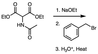 Amidomalonate synthesis: alkylation and hydrolysis to amino acid