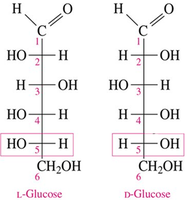 Fischer projections of L- and D-glyceraldehyde