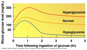 Blood glucose level graph