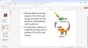 Photosynthesis and respiration diagram