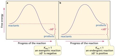 Reaction coordinate diagrams for fast and slow reactions
