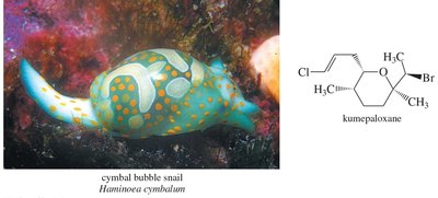 Classification of alkyl halides