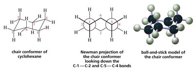Chair conformer of cyclohexane and its Newman projection