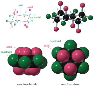 Axial and equatorial positions in cyclohexane