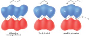 Molecular orbital diagrams for 1,3-butadiene, allyl radical, and allylic carbocation