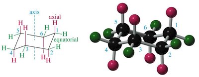Axial and equatorial positions in cyclohexane