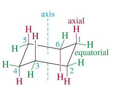 Cis and trans isomers: axial and equatorial positions