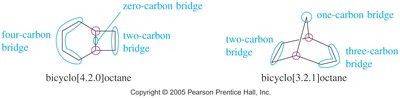 Bicyclic systems: bridge sizes