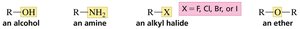 Common names of functional groups