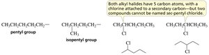 Pentyl and isopentyl groups