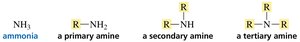 Classification of amines