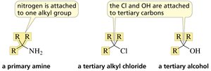 Classification of amines vs alkyl halides and alcohols