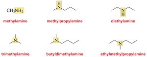 Common names of amines
