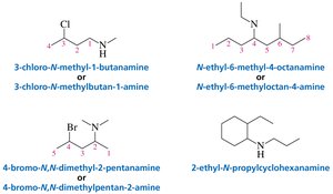 Systematic names of amines