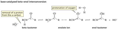 Base-catalyzed keto-enol interconversion mechanism