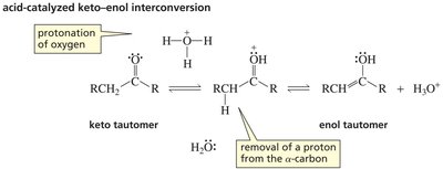 Acid-catalyzed keto-enol interconversion mechanism