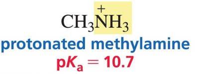 Protonated methyl alcohol