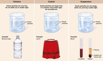 Three basic types of mixtures: solution, colloid, suspension