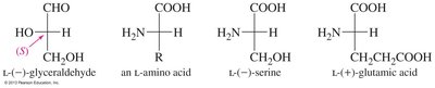 D and L assignments in amino acids