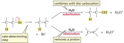 Carbocation intermediate in SN1/E1 reactions