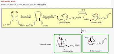 Endiandric acids synthesis via electrocyclic and Diels-Alder reactions