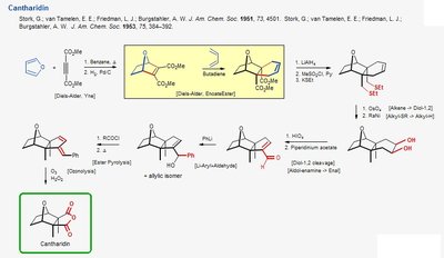 Cantharidin synthesis via Diels-Alder reaction and functionalization