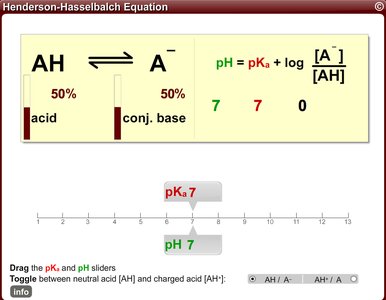 Henderson-Hasselbalch equation at pH = pKa