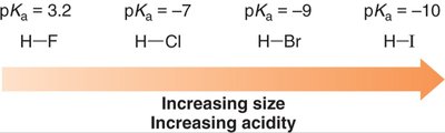 Increasing size and acidity in halogen acids