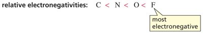 Relative electronegativities of C, N, O, F