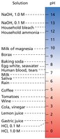 pH scale with common solutions