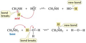 Amine acid/base mechanism with curved arrows