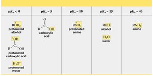 Table of approximate pKa values for common acids and bases