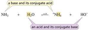 Base and its conjugate acid, acid and its conjugate base