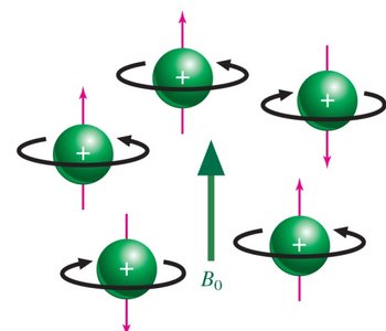 Beta spin state