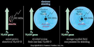 Effective field and shielding