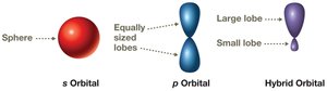 s, p, and hybrid orbitals