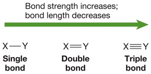 Bond strength increases; bond length decreases
