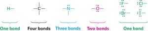 Bonding basics: H-O-N-C rule