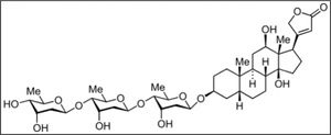 Structure of digoxine