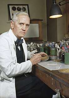 Organic and inorganic components
